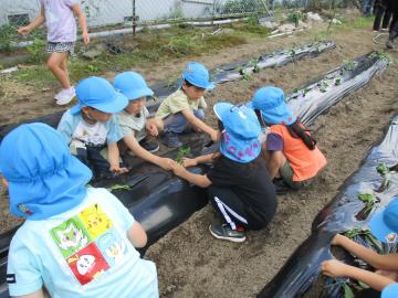 令和6年度　わくわくたのしいこども園14