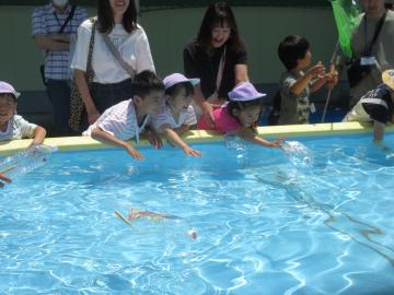 写真：令和6年度　わくわくたのしいこども園7