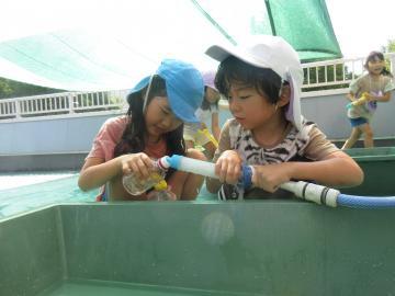 写真：4歳児　ホースを使う