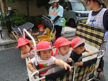 写真：1歳児　かごで散歩