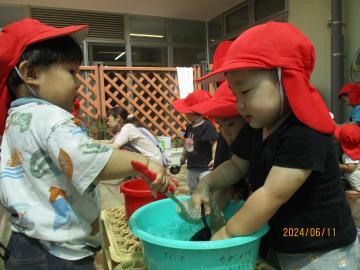 写真：1歳児　砂遊び