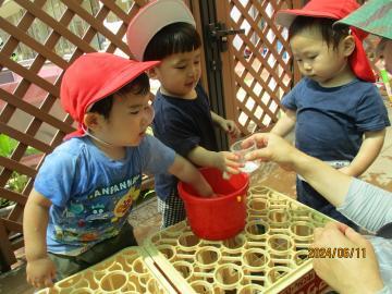 写真：1歳児　水遊び2