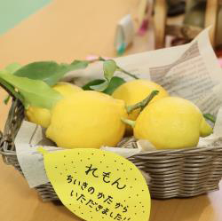 写真：保育と自然265