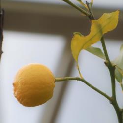 写真：保育と自然287