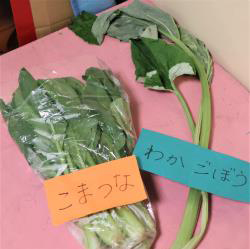 写真：保育と自然281