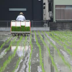 写真：保育と自然33