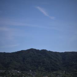 写真：保育と自然101