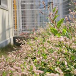 写真：保育と自然123