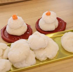 写真：保育と自然230