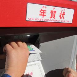 写真：保育と自然241