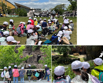 天王寺動物園での遠足の写真