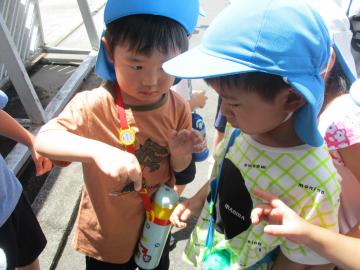 写真：令和5年度　わくわくたのしいこども園218