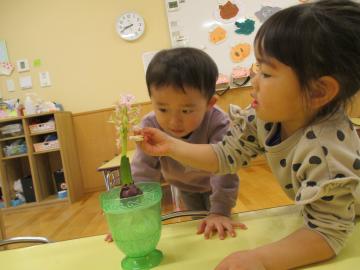写真：令和5年度　わくわくたのしいこども園27