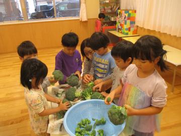 写真：令和5年度　わくわくたのしいこども園138