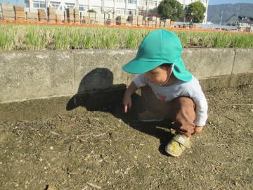 写真：令和5年度　わくわくたのしいこども園112