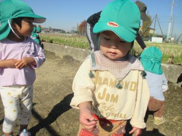 写真：令和5年度　わくわくたのしいこども園113