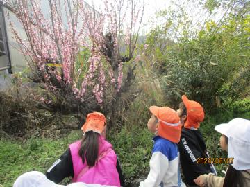写真：令和5年度　わくわくたのしいこども園20