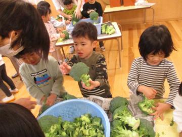 写真：令和5年度　わくわくたのしいこども園104