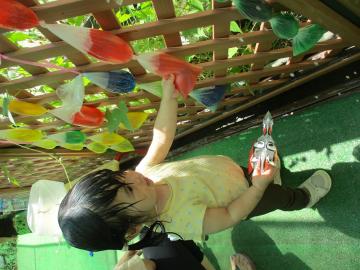 写真：令和5年度　わくわくたのしいこども園241