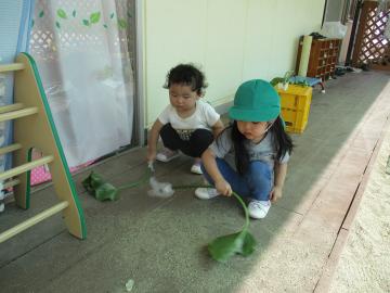 写真：令和5年度　わくわくたのしいこども園157