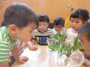写真：令和5年度　わくわくたのしいこども園254