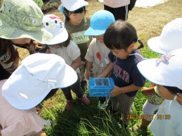 写真：令和5年度　わくわくたのしいこども園166