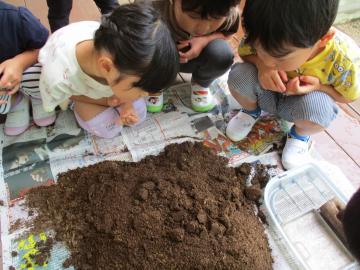 写真：令和5年度　わくわくたのしいこども園171