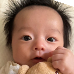 写真：赤ちゃん　はるた
