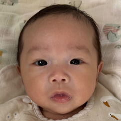 写真：赤ちゃん　いおり