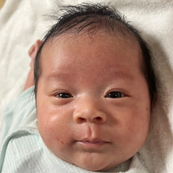 写真:赤ちゃん りん