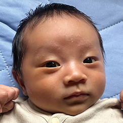 写真:赤ちゃん そうた