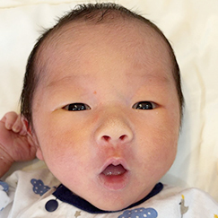 写真：赤ちゃん　おうし
