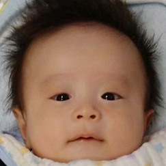 写真：赤ちゃん　イカ