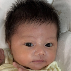 写真：赤ちゃん　れん