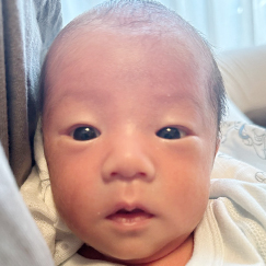 写真：赤ちゃん　さく