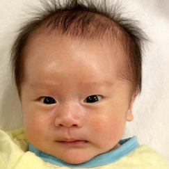 写真：赤ちゃん　れお