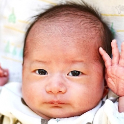 写真：赤ちゃん　きっぺい