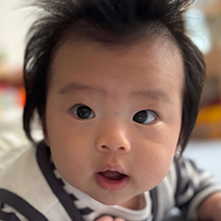 写真：赤ちゃん　まゆ