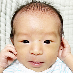 写真：赤ちゃん　せお
