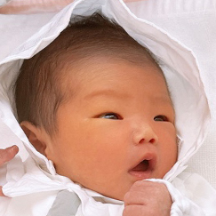 写真：赤ちゃん　りつき