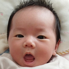 写真：赤ちゃん　ひなこ