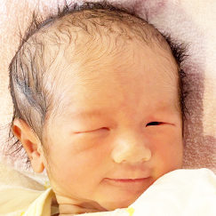写真：赤ちゃん　はるせ
