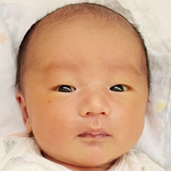 写真:赤ちゃん ひなと