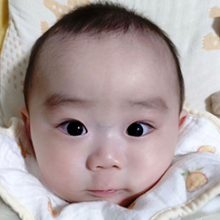 写真:赤ちゃん みなと