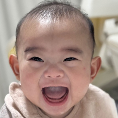 写真：赤ちゃん　いっせい