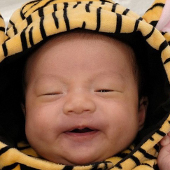写真:赤ちゃん タイガ