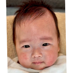 写真:赤ちゃん さく
