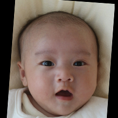 写真：赤ちゃん　いつき