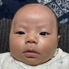 写真：赤ちゃん　りょうだい