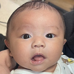 写真：赤ちゃん　ひな